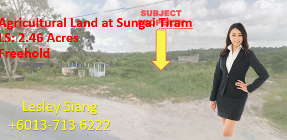 Agricultural Land at Sungai Tiram Agricultural Land at Sungai Tiram