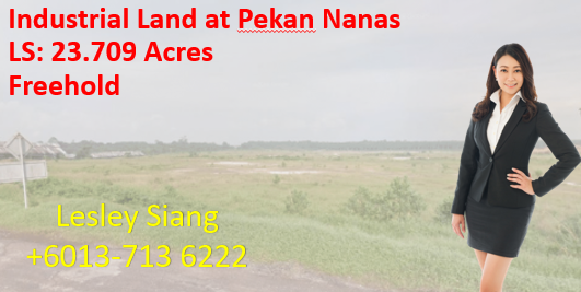 Industrial Land at Pekan Nanas Industrial Land at Pekan Nanas